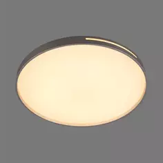Светильник настенно-потолочный светодиодный Geta Silver 2076/EL с пультом управления, 18 м², регулируемый свет, цвет белый Сонекс