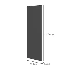 Дверь для шкафа Лион 59.4x225.8x1.6 цвет графит Без бренда