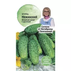 Семена Огурец «Нежинский»