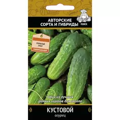 Семена Огурец «Кустовой» ПОИСК