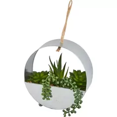 Искусственное растение в цинковом горшке на веревке 14x12.2 см микс полиэстер Atmosphera