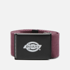 Ремень Dickies Orcutt, цвет фиолетовый