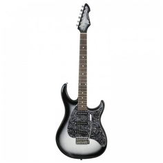 Электрогитары Peavey Raptor Custom SLB