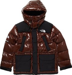 Парка Supreme x The North Face 700-Fill Down Parka &apos;Brown&apos;, коричневый