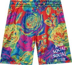 Шорты Anti Social Social Club Pedals On The Floor Reversible Mesh Shorts &apos;Multicolor&apos;, разноцветный