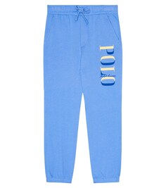 Хлопковые спортивные штаны Polo Ralph Lauren, синий