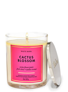 Фирменная свеча с одним фитилем Cactus Blossom, 8 oz / 227 g, Bath and Body Works