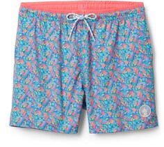 Эластичные плавки 5,5 дюйма — мужские Chubbies, синий