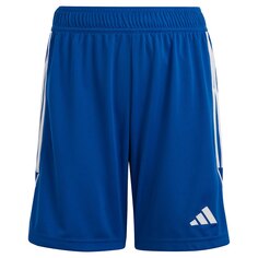 Шорты adidas Tiro 23, синий