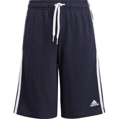 Шорты adidas Essentials 3-Stripes, синий