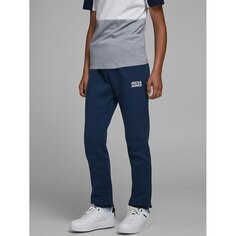 Спортивные брюки Jack &amp; Jones Gordon Newsoft, синий