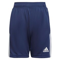 Шорты adidas Tiro 21, синий