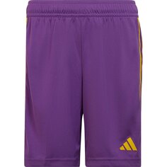 Шорты adidas Tiro 23, фиолетовый