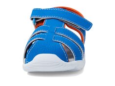 Сандалии See Kai Run Kids Cyrus IV FlexiRun (Toddler/Little Kid), синий/оранжевый