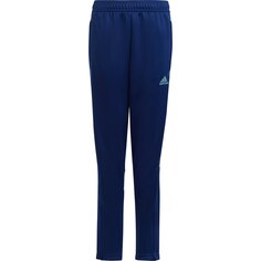 Брюки adidas Sportswear Tiro, синий