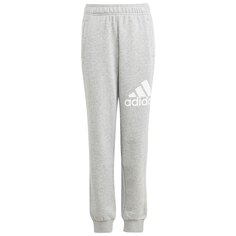 Брюки adidas Sportswear Bl, серый