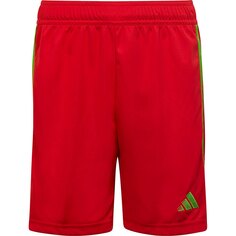 Шорты adidas Tiro 23, красный