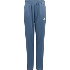 Брюки adidas Sportswear Hiit, синий