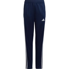 Брюки adidas Tiro23L Try, синий