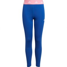 Леггинсы спортивные adidas Sportswear G Tf, синий