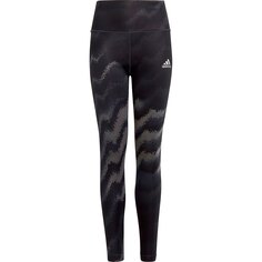 Леггинсы спортивные adidas Sportswear D Aop, черный