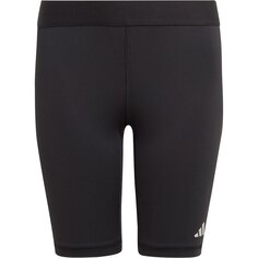 Леггинсы adidas Tf Short, черный