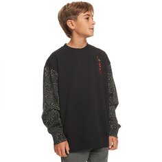 Толстовка Quiksilver Radical Times, черный