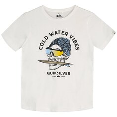 Футболка Quiksilver Skull, белый