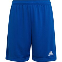 Шорты adidas Entrada 22, синий