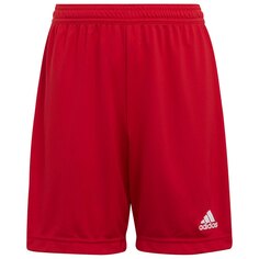 Шорты adidas Entrada 22, красный