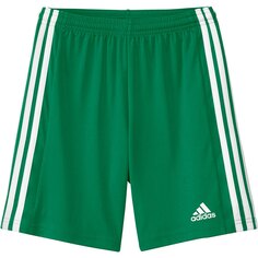 Шорты adidas Squadra 21, зеленый