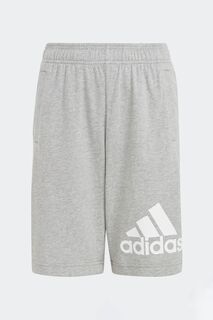 Хлопковые шорты Junior Essentials с большим логотипом adidas, серый