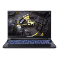 Игровой ноутбук Hasee Ares Z8R9 15.6&apos;&apos;, 16ГБ/1ТБ, i9-13900H, RTX 4060, черный, английская клавиатура