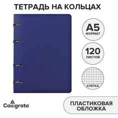 Тетрадь на кольцах a5 120 листов в клетку calligrata синяя, пластиковая обложка, блок офсет