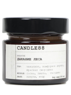 Свеча ароматическая Дыхание леса Candle88