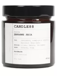 Свеча ароматическая Дыхание леса Candle88