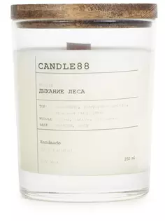 Свеча ароматическая Дыхание леса Candle88