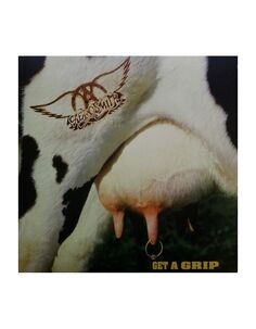 Виниловая пластинка Aerosmith, Get A Grip (0602547954398) Universal Music