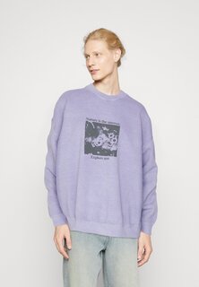 Толстовка NATURE PHOTOGRAPHIC UNISEX BDG Urban Outfitters, фиолетовый