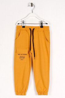 Спортивные штаны горчичного цвета с текстовым принтом для мальчиков Zepkids