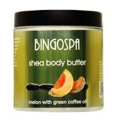 Масло для тела Дыня с маслом зеленого кофе 250г BINGOSPA