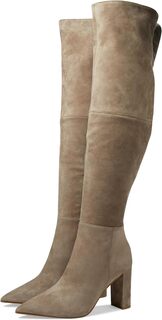 Сапоги Blyss Steve Madden, цвет Taupe Suede