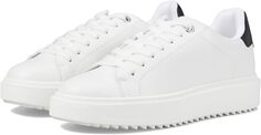 Кроссовки Catcher Sneaker Steve Madden, цвет White/Black