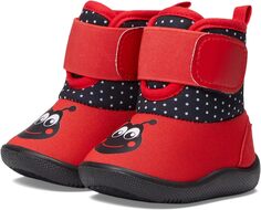 Ботильоны Pollywog Boot Western Chief, цвет Ladybug