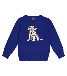 Свитер из хлопка интарсии Polo Ralph Lauren Kids, синий