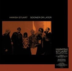 Виниловая пластинка Hamish Stuart - Sooner Or Later Demon