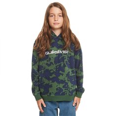 Худи Quiksilver Essentials, зеленый