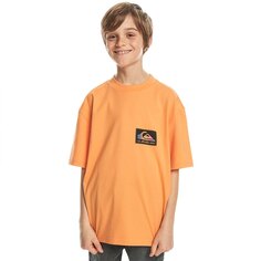 Футболка с коротким рукавом Quiksilver Back Flash, оранжевый