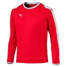 Футболка с длинным рукавом Puma Liga, красный