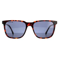Квадратные красные однотонные синие солнцезащитные очки Havana Lacoste, коричневый